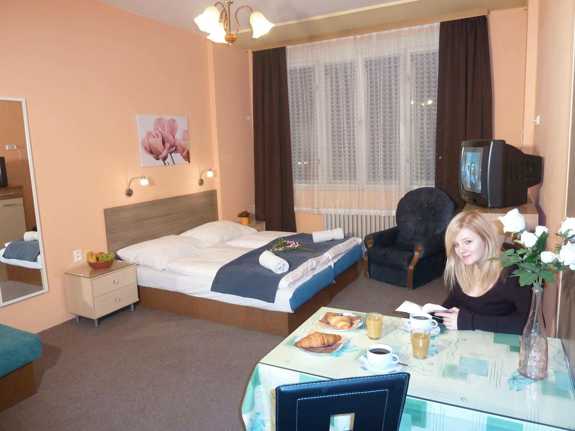 Rezidence Davids Apartmán *